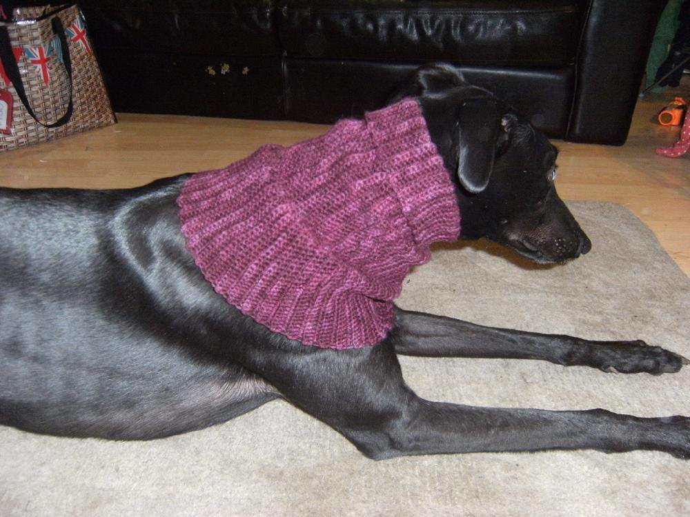 Greyhound snood Crochet pattern by redclovercrochet ...