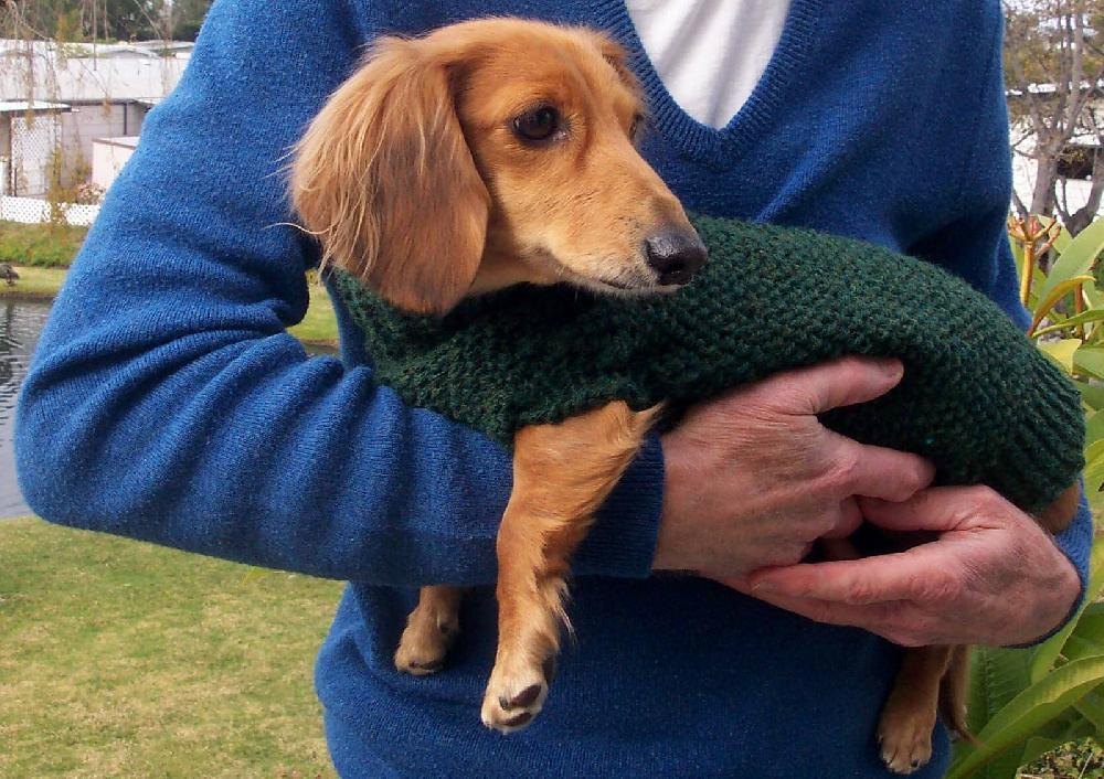 Lena's Miniature Dachshund Dog Sweater Knitting pattern by