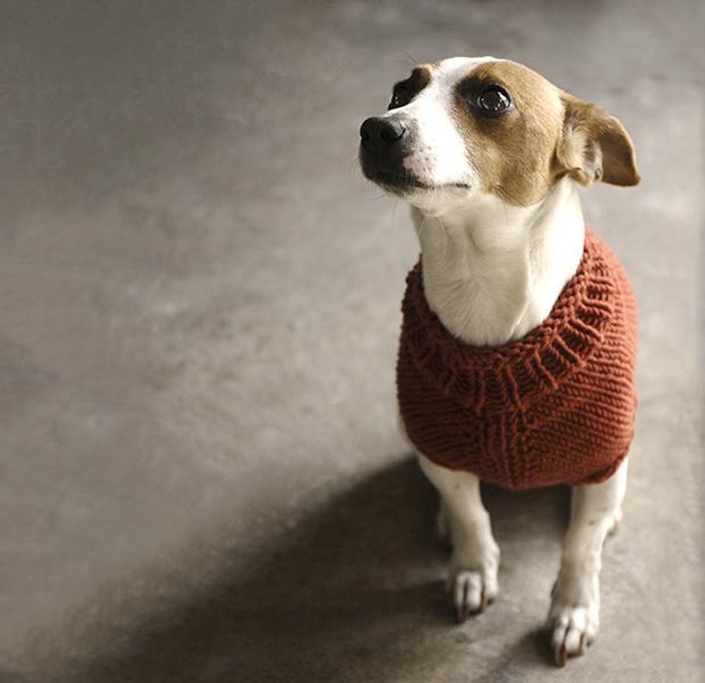 The Juno Jumper Knitting pattern by Alice Neal Knitting