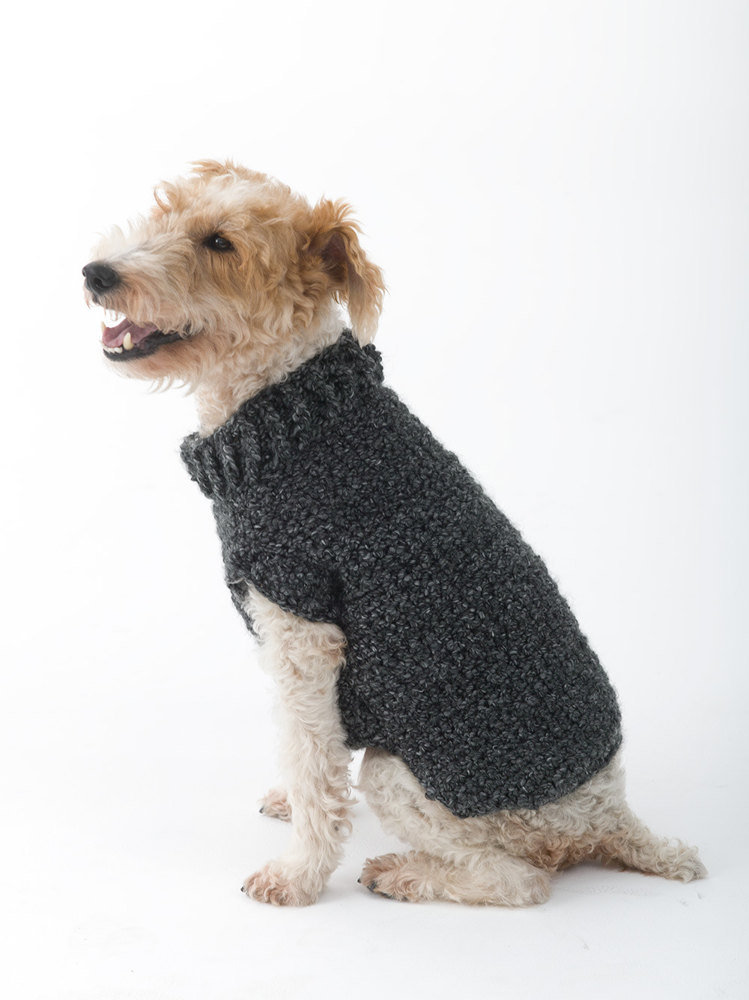 Poet Dog Sweater in Lion Brand Homespun - L32350 ...