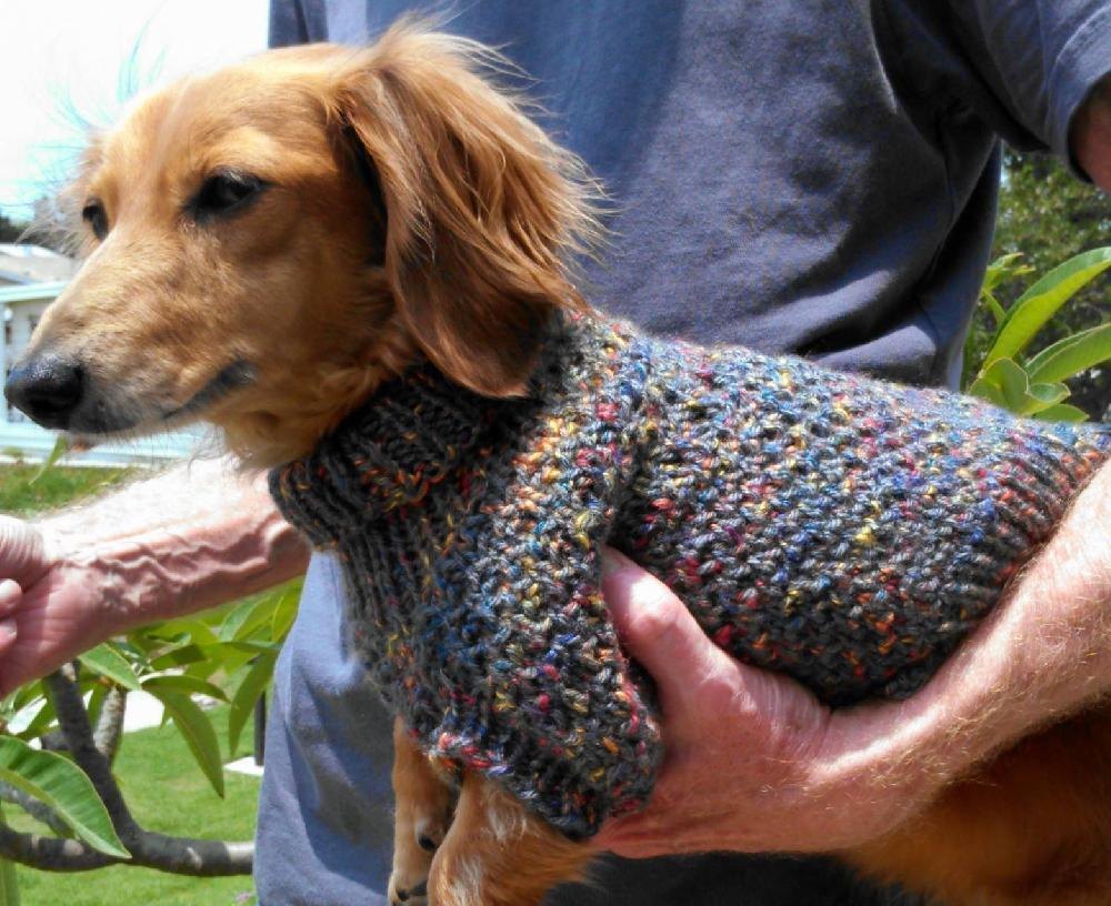 Lena's Cozy Brioche Miniature Dachshund Dog Sweater ...