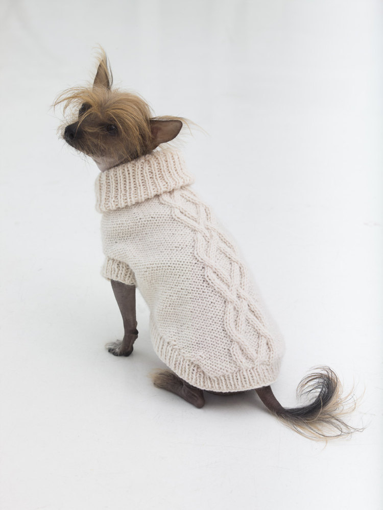 Prep Dog Sweater in Lion Brand Wool Ease L32372